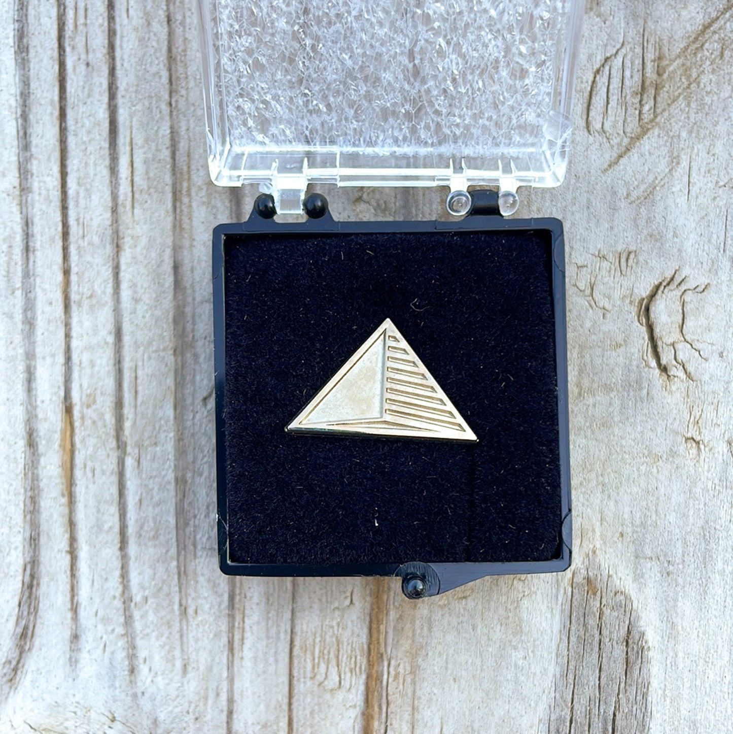 Lapel Pin